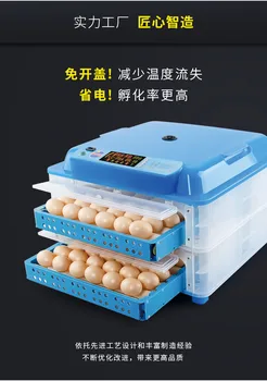 Automatinis Incubadora Kinija 96 Couveuse Mažas Smart Vištienos Balandžių Eggifier Kiaušinių Laikymo Mašina Inkubatoriuje 12V/220V