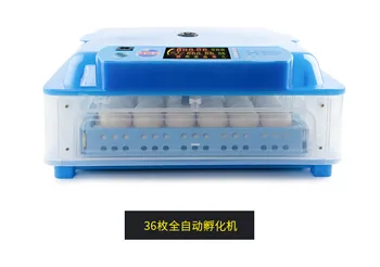 Automatinis Incubadora Kinija 96 Couveuse Mažas Smart Vištienos Balandžių Eggifier Kiaušinių Laikymo Mašina Inkubatoriuje 12V/220V