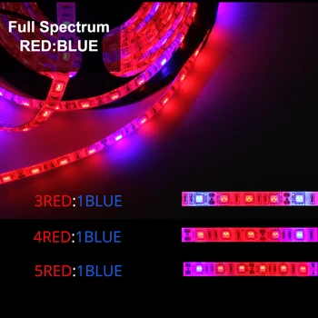 12V LED Juostos Augalų Augti Žiburiai Lanksti LED Šviesos Juostelės 5050 SMD 60LEDs/m 5M efektą Sukeliančių Hydroponic Augalų Auginimas