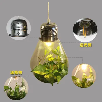 Šiuolaikinių LED augalų sieniniai šviestuvai medienos stiklo butelis, blizgikliai šviestuvas pramonės e27 220v dekoro kabo lempa led lampara apšvietimas