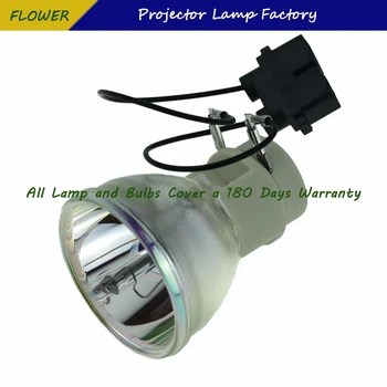 SP-LEMPA-065 Nauji Suderinamą Projektorių Lempos Lemputė INFOCUS SP8600/SP8600 HD3D/IN8601/SP8600HD3D Projektorius