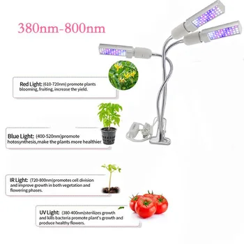 3 vadovo LED Grow Light Fito Lempos kambarinių augalų raudona mėlyna Lempos gėlių Augimą growbox Įrašą Visą Spektrą USB 5V USB Laikmatis