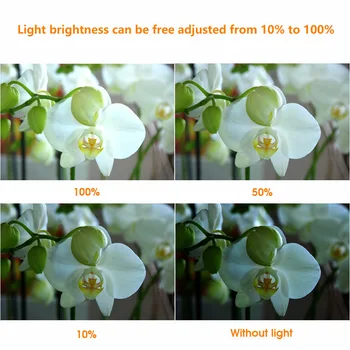 Travor 160 LED Vaizdo Šviesos Lempos šviesos skydas /Kamera 5600K/3200K šviesos srautą galima reguliuoti Canon Nikon DSLR Fotoaparatas Fotografijos Apšvietimas