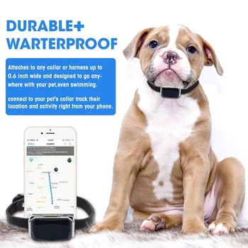 Pet GPS Tracker IP67 atsparus Vandeniui Reguliuojamas Gps Šunų Antkaklis Šuniukas Šuo, Katė, Mini Stebėjimo Prietaisą Anti-Lost Šuo Tracker Pet products