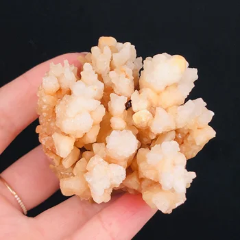 Gamtos Kalcitas Koralų Mineralinių Kristalų Egzempliorių Akmenų Gydomųjų Namų Dekoro