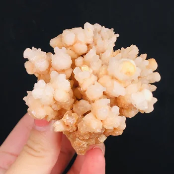 Gamtos Kalcitas Koralų Mineralinių Kristalų Egzempliorių Akmenų Gydomųjų Namų Dekoro