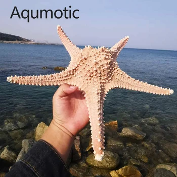 Aqumotic Didelis Fizinis Žvaigždė Seashell Beach Amatų Jūros Žvaigždės 