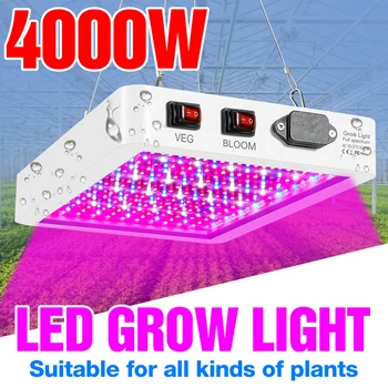 Atsparus vandeniui Fitolampe LED Fito Lempos 4000W 5000W Visą Spektrą Augimo Šviesos 220V Quantum Valdybos Augalų Apšvietimas viduje Auga Palapinė