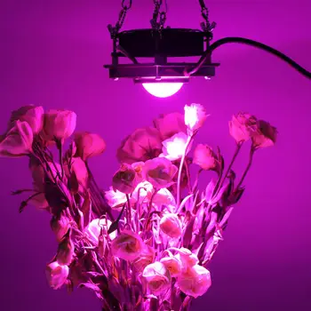 Originalus COB 3000W LED Augti 4000 k Šviesos Pilno Spektro LED Auginimo Lempos Kambarinių Augalų Augimą LĖMĖ augalų Apšvietimas Vandeniui