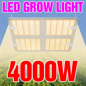 LED Augti Šviesos Pilno Spektro Lempa LED 300W 500W 1000W 2000W 4000W Augalų Lempos Augimo Šviesos diodų (LED) Šiltnamio efektą sukeliančių Apšvietimo Quantum Valdyba