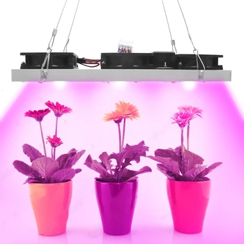 COB LED Grow Light Visą Spektrą Faktinė Galia 50W 100W 150W 200W LED Augalų Auga Lempos sodindami Daržoves & Žydėjimo