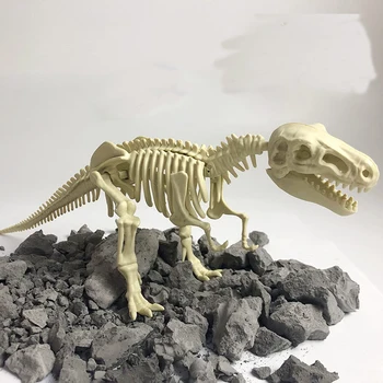 Iškastas modeliavimas archeologijos dinozaurų fosilijos 