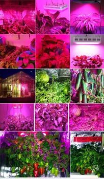 Led grow light 1000W Pilno Spektro lempa Skydelyje Medicinos Augalų, Daržovių, Vaisių patalpų šiltnamio efektą sukeliančių augalų auginimo 360-870nm high yield