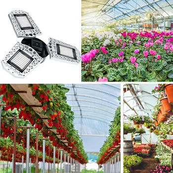 LED Trefoil Augalų auga Lemputė E27 Vandeniui 80W Judesio Jutiklis augalų Apšvietimas 100W 60W Augalų, Gėlių Daigų Auginimas