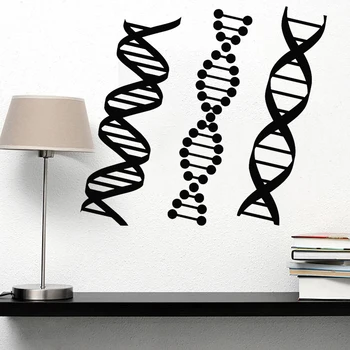 DNR Genealogijos Siena Lipdukas Biologija Chemija Decal Mokyklos Mokslo Klasė Lipdukai Asmeniniams, Namų Dekoro Miegamasis Freskos Nuimamas