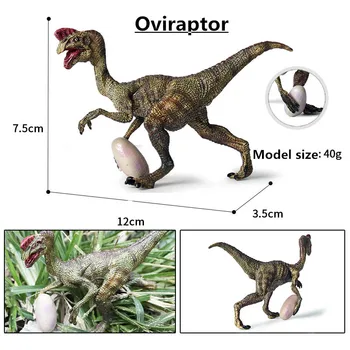 Oviraptor Modelis Žaislas Kūrybos rankdarbių Dinozaurų Plastiko Mėsėdžių Įspūdį Švietimo Apdailos Surinkimo Gyvūnų Skaičius Dovanos