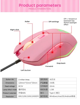 Rausvos spalvos, Žėrintis Pelės 2400Dpi Laidinio Žaidimų Pelės Silent Spalvinga USB Tipo C Pelės PC Nešiojamas Žaidimų Priedai