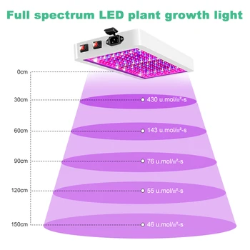 3000W LED Full spectrum Augti Šviesos MUMS/ES/JK/AS Plug Fito Augti Lempos Patalpų Phytolamp Augalų Augimo Apšvietimo Augalų Žiedų