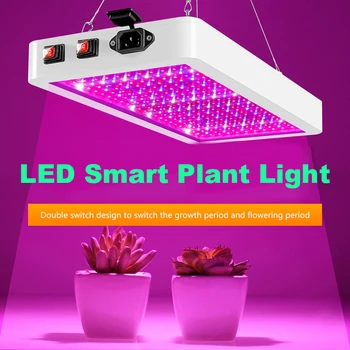 3000W LED Full spectrum Augti Šviesos MUMS/ES/JK/AS Plug Fito Augti Lempos Patalpų Phytolamp Augalų Augimo Apšvietimo Augalų Žiedų