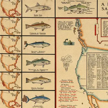 Žuvys Šiaurės Amerikos Žuvų Diagramos Plakatas Žvejys Dovanos, Ežeras Namai Retro Sienos Lipdukas Bar Pub Kambarį Namų Dekoro