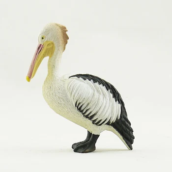 Nemokamas pristatymas Australijos laukinių gyvūnų modelio Jūrų gyvūnų modelio pelican žaislo modelis