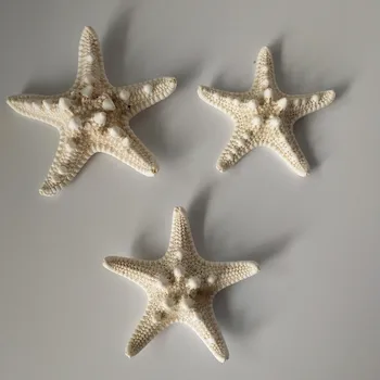 10vnt 5-8cm gamtos žvaigždė Viduržemio jūros regiono Stiliaus 