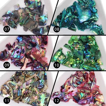 1 pasirinkite naujas atvyksta 12 spalvų natūralaus lukšto gabalų, nagų dailės apdailos akrilo nagų produktai Manikiūro Įrankių rinkinys jūros vėjo stiliaus elementus
