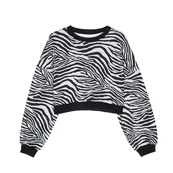 Genayooa O-kaklo Zebra Megztinis Moterų 2020 M. Rudens Žiemos Prašmatnus korėjos Stiliaus Minkštas Megzti Viršūnes Megztinis Megztinis Femme, Mados
