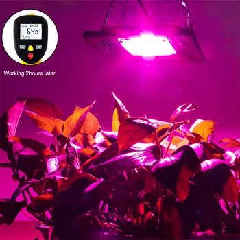 COB LED Grow Light Visą Spektrą 100W Vandeniui IP67 Daržovių, Gėlių Patalpų Hydroponic Šiltnamio efektą sukeliančių Augalų Apšvietimo Lemputė