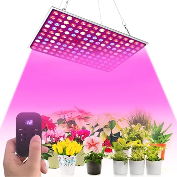 COB LED Grow Light UV Quantum Tech LED Valdybos 300W viso Spektro šviesos srautą galima reguliuoti Patalpų Augalų Žibintai Su Intelligent Laiko Valdiklis