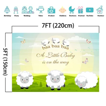 Ūkio Mielas avių Baby Shower Fone Saulėtų Pievų Drugelis Nuotrauka Fone Naujagimis Baby Shower Pyragas Reklama Papuošti Rekvizitai