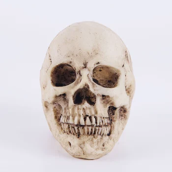 HeyMamba Dervos Žmogaus Skeletas Kaukolės Kaulai Statula Žmogaus Formos Skeletas Galvos Modelio Helovinas Dekoro Meno Rekvizitai