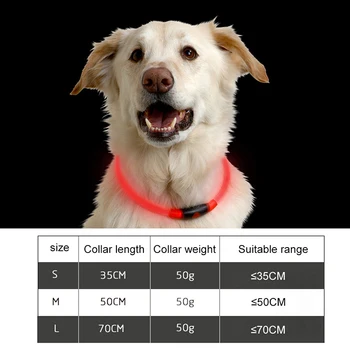 Šviesos Šunų Antkaklis Diržo-USB Įkrovimo LED Lemputė Mirksi Nailono Led Šunų Antkaklis Mažas Vidutinis Didelis Šuo Vaikščioti Saugiai Naminių Reikmenys