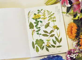 Gėlės žydi ant popieriaus, klasikinės iliustracijos piešimo gėlės, spalvoti pieštukai knyga