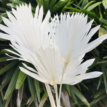 1PC Natūralių Džiovintų Gėlių Mini Ventiliatorius Lapų Palmių Lapų, Augalų Vaza Gėlių kompozicijų Medžiagos, Namų Šaliai Dekoro